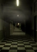 Jaquette The Inpatient