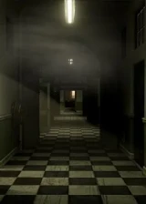 Jaquette The Inpatient