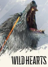Jaquette Wild Hearts
