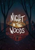 Jaquette Night in the Woods