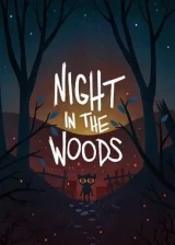 Jaquette Night in the Woods