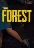 Jaquette The Forest