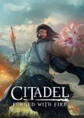 Jaquette Citadel : Forged With Fire