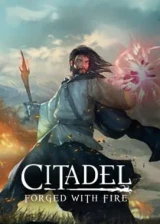 Jaquette Citadel : Forged With Fire