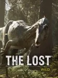 Jaquette The Lost Wild