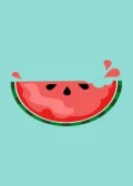 Jaquette All-Star Fruit Racing