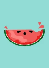 Jaquette All-Star Fruit Racing