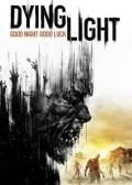 Jaquette Dying Light