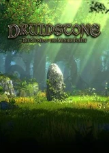 Jaquette Druidstone: The Secret of the Menhir Forest