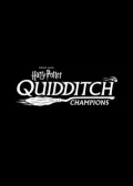 Jaquette Harry Potter: Quidditch Champions