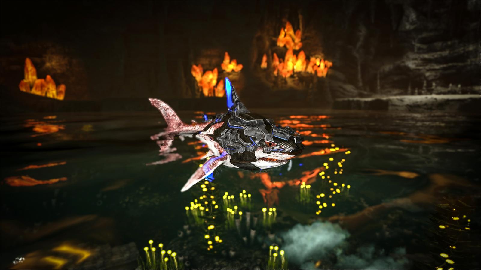 large.590cb37d7273f_TEKMegalodonSaddle.jpg.5cdd85c9a6716b0aede911a0e6fe6c9f