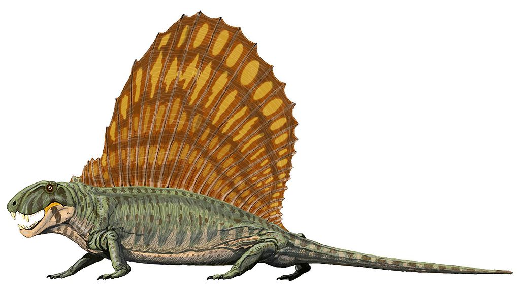 1024px-Dimetrodon_grandis
