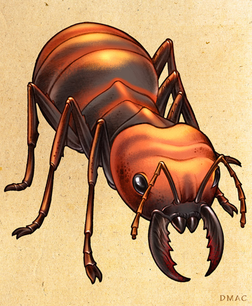 Giant_Ant_by_D_MAC