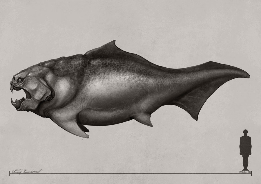 dunkleosteus_study_by_svartluder-d4j7xni