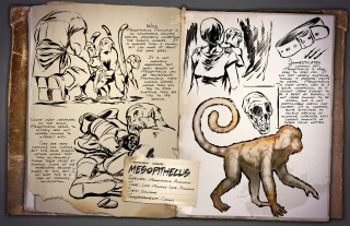 Mesopithecus