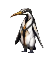 pingouin