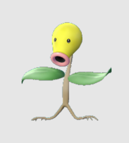 chetiflor