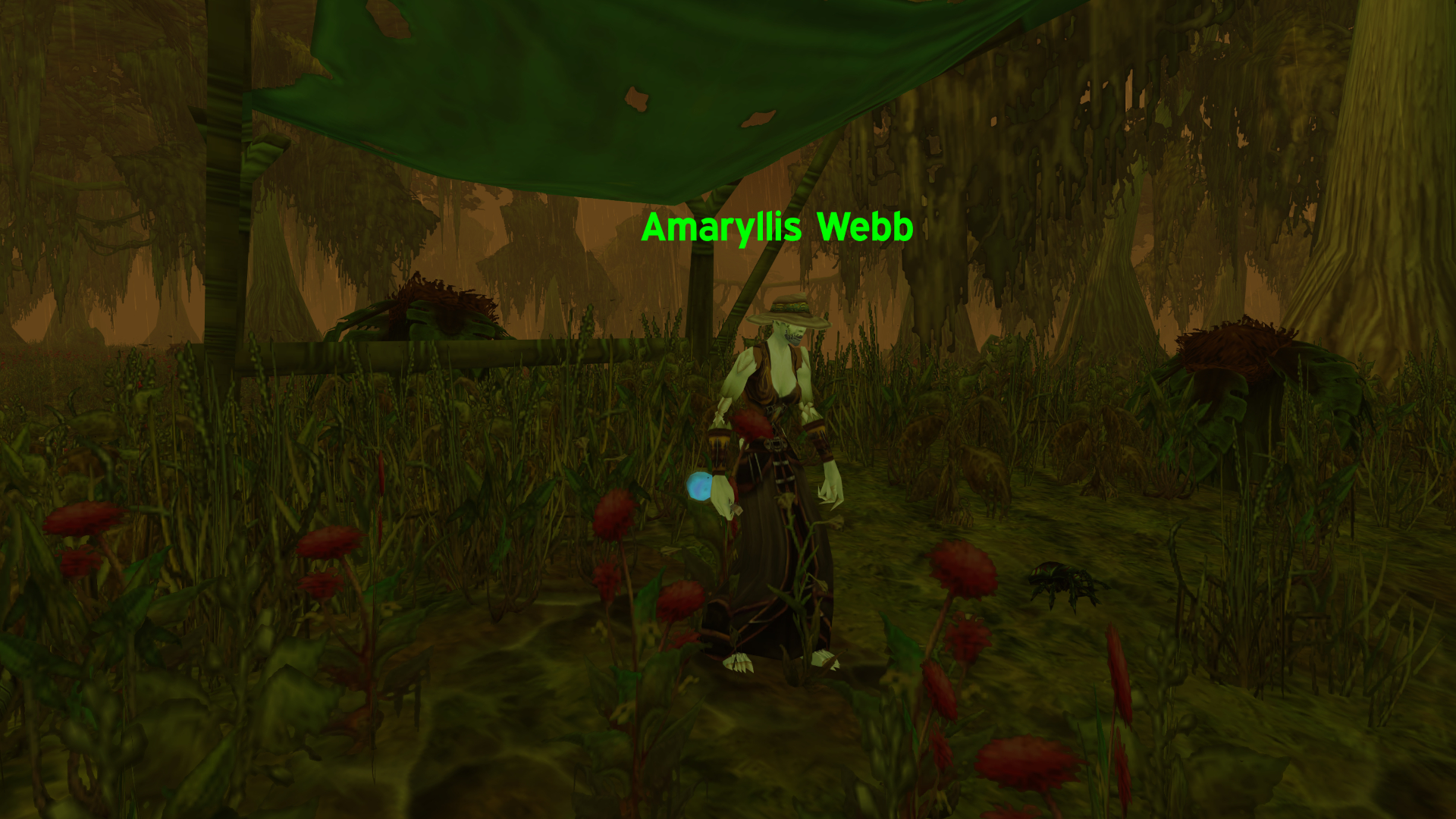 amaryllis-web