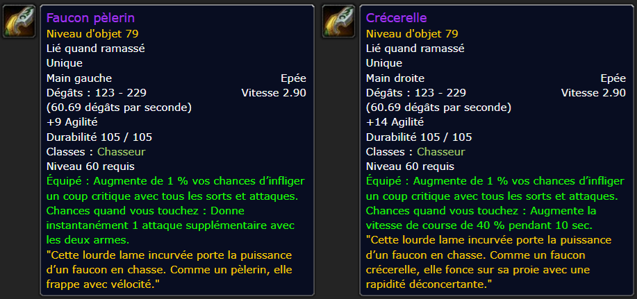 arme-classe-chasseur-crecerelle-faucon