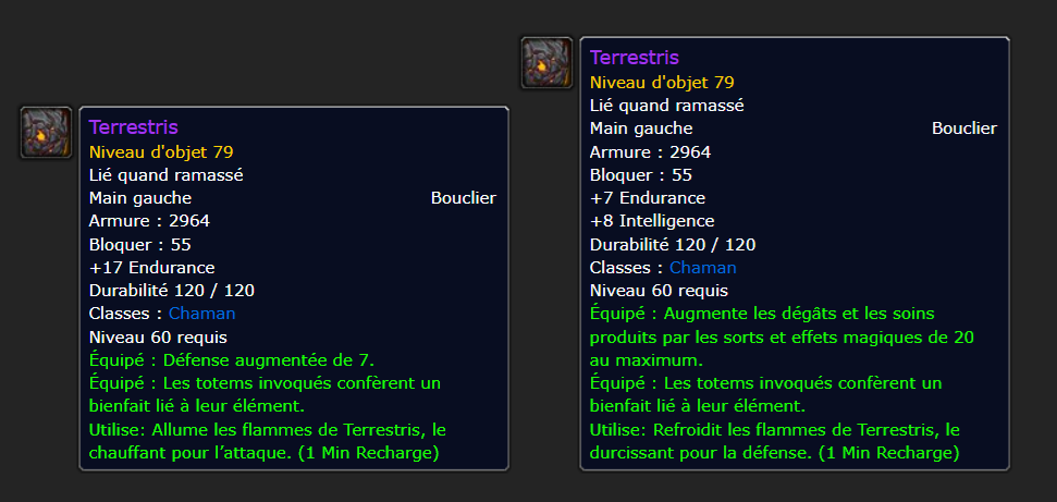 bouclier-terrestris-chaman