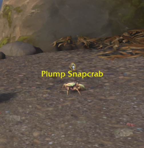 crabe-dodu