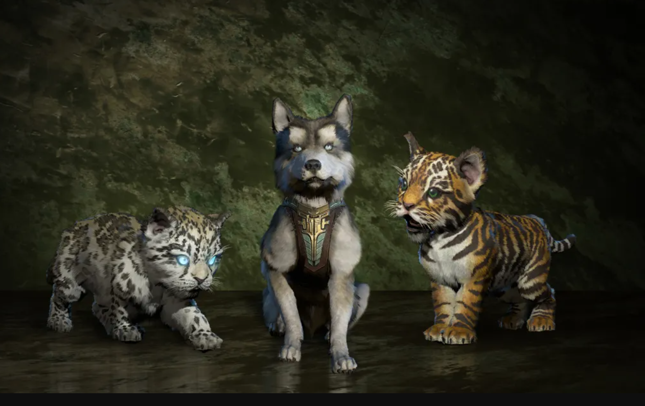 pets-pack-d4