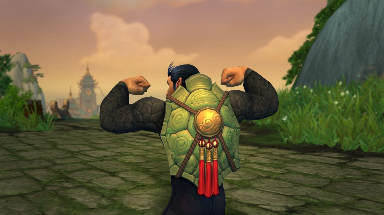 demi-carapace-derobee-transmo-wow
