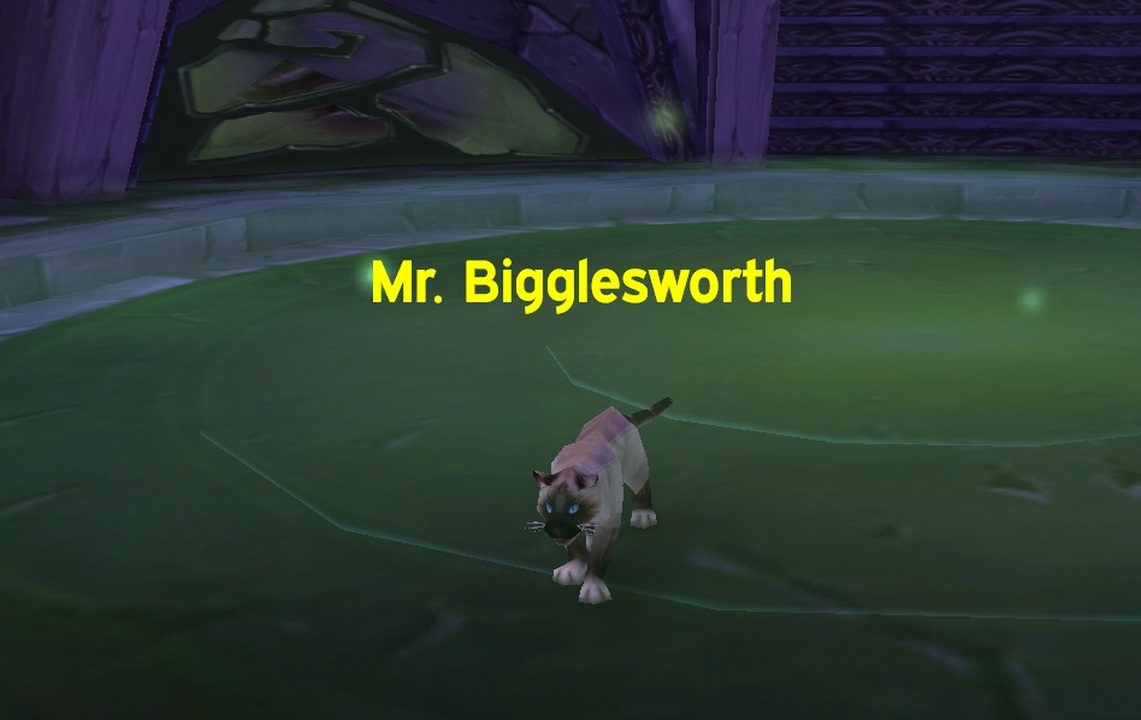 mr-bigglesworth