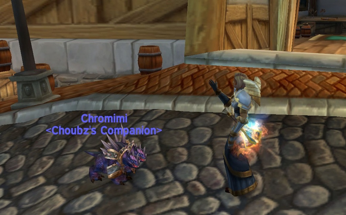 pets-raid-vanilla