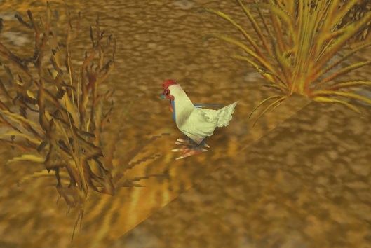 poulet-wow