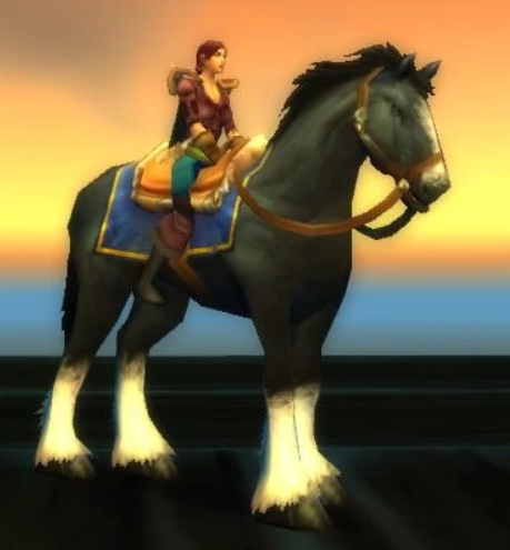 monture-lente-wow-prix