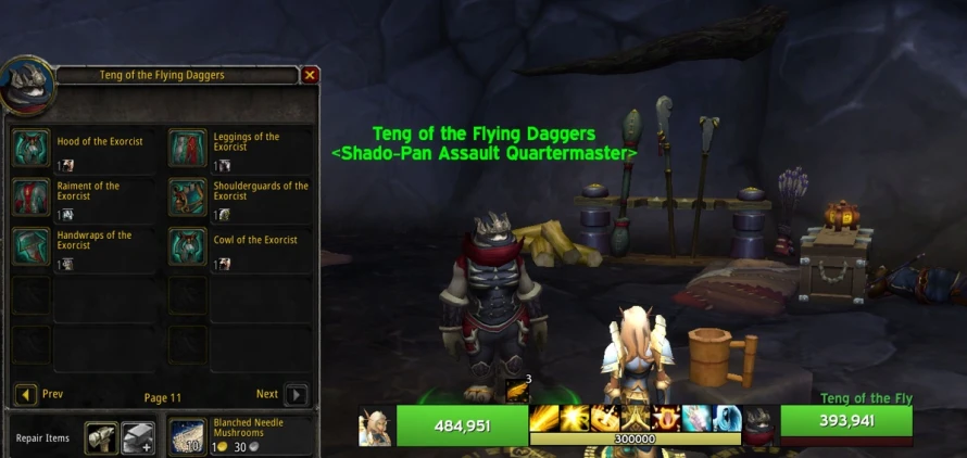 t15-mop-pnj