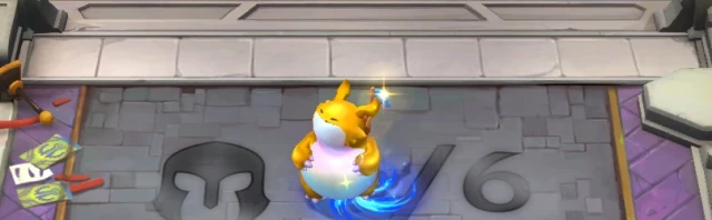 choncc