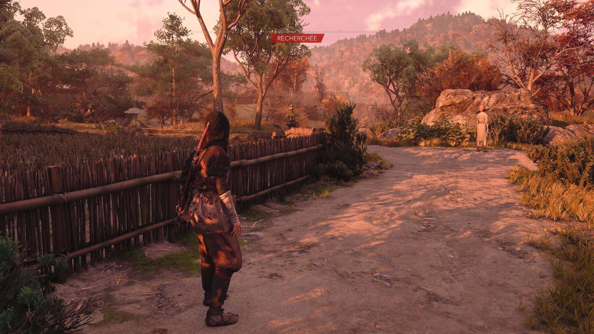 assassins-creed-shadows-statut-recherche-wanted