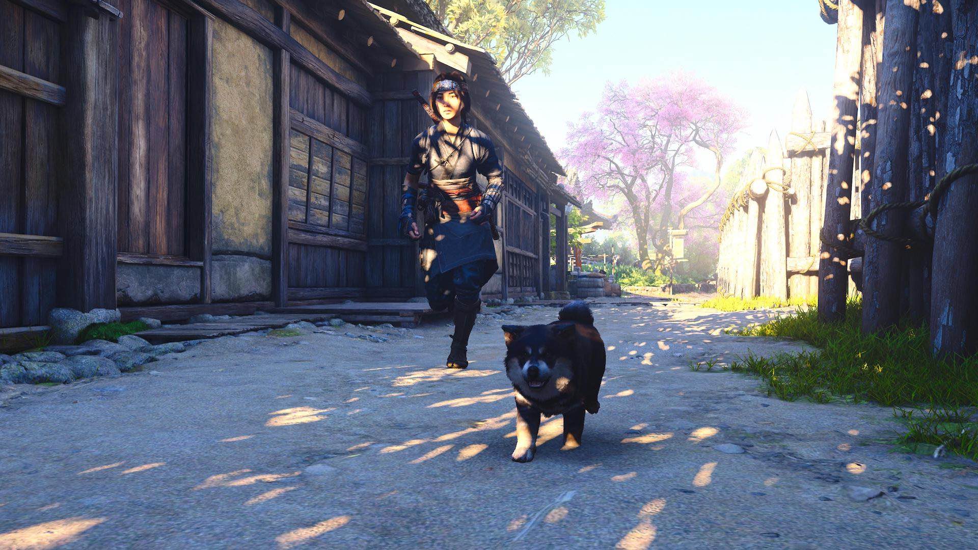 assassins-creed-shadows-bebe-chien