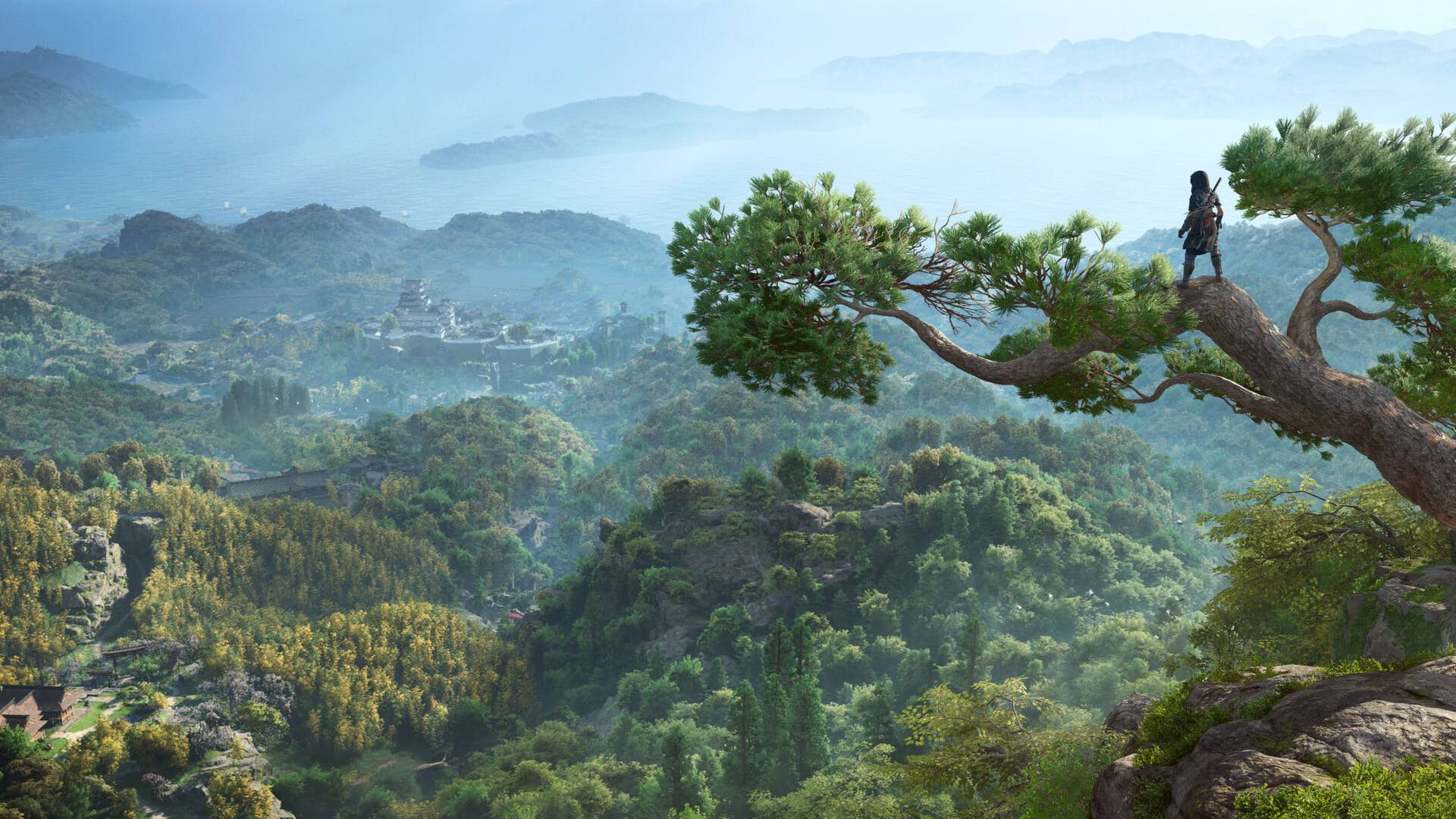 assassins-creed-shadows-visuel-environnement