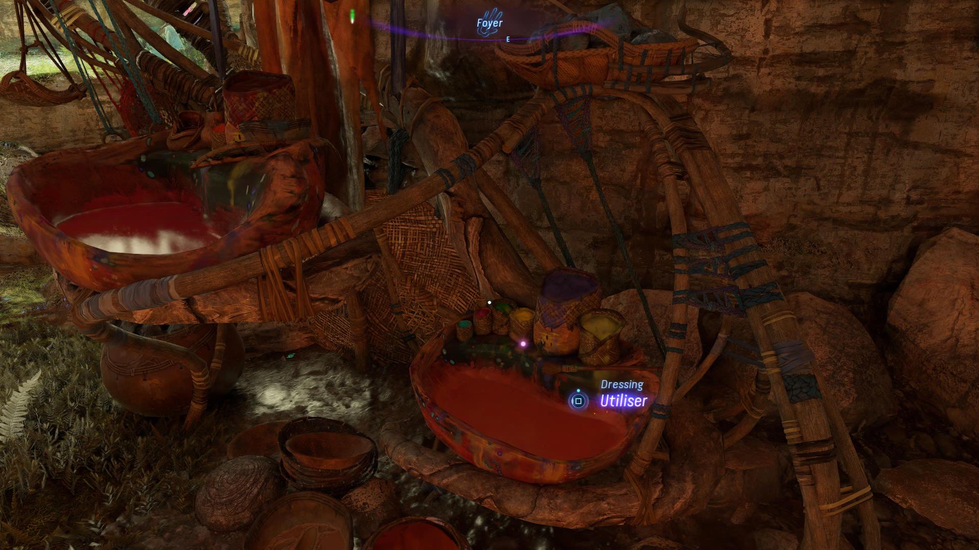 avatar-frontiers-of-pandora-dressing