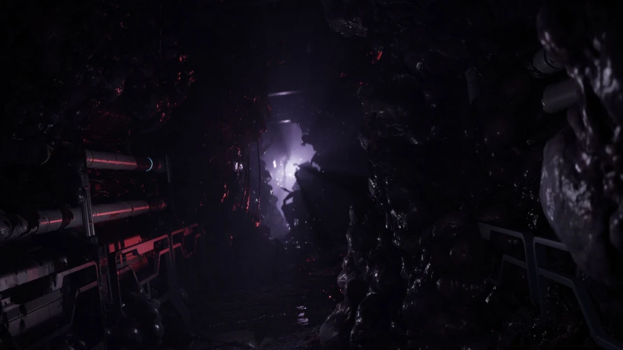 directive-8020-environnement