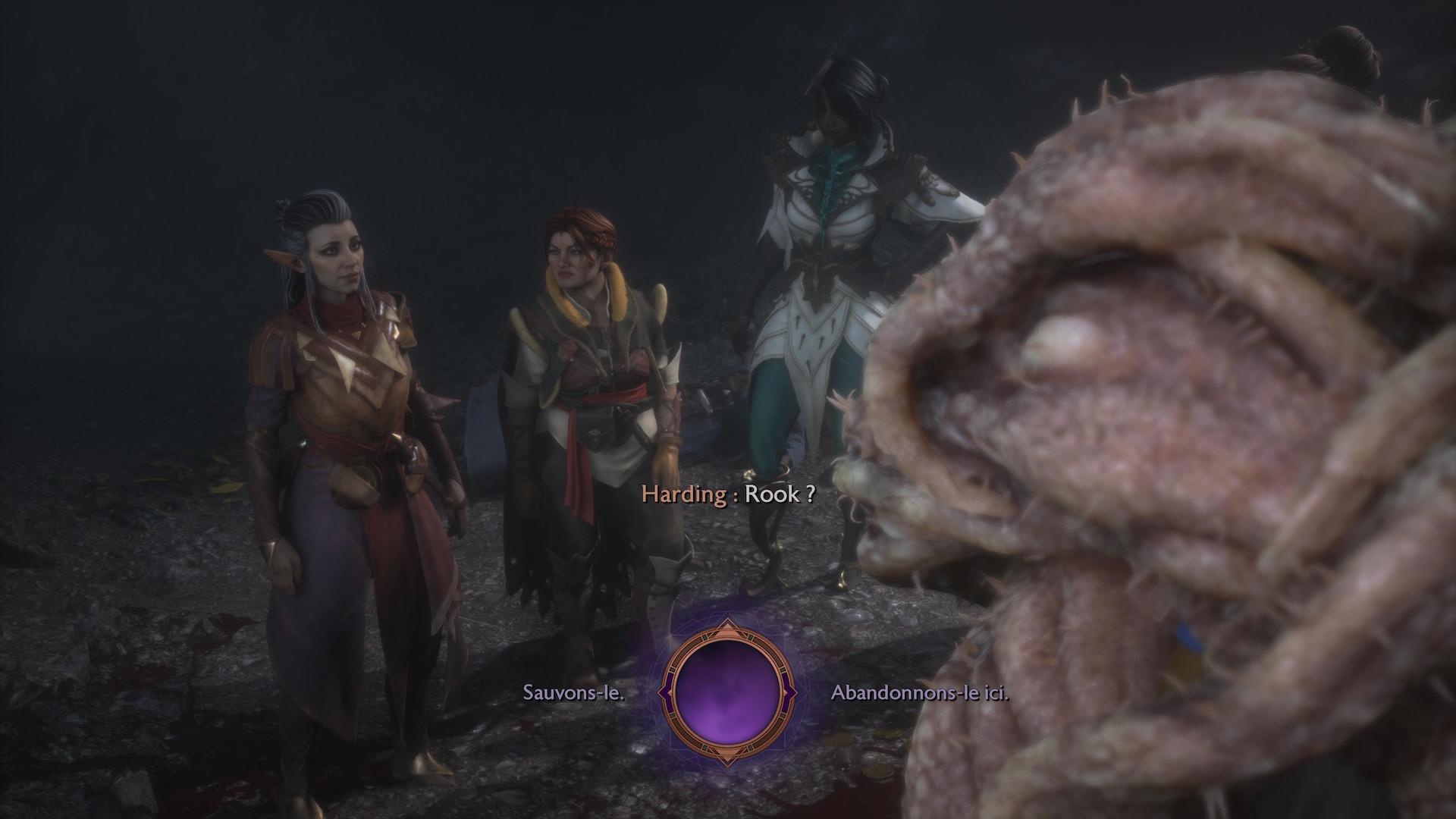 dragon-age-the-veilguard-choix-maire