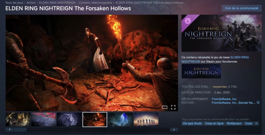 elden-ring-nightreign-evaluations-steam-dlc