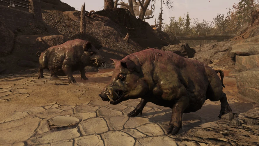 fallout-76-maj-sources-ardentes-radcochon