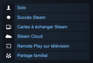 hollow-knight-silksong-solo-informations-page-steam