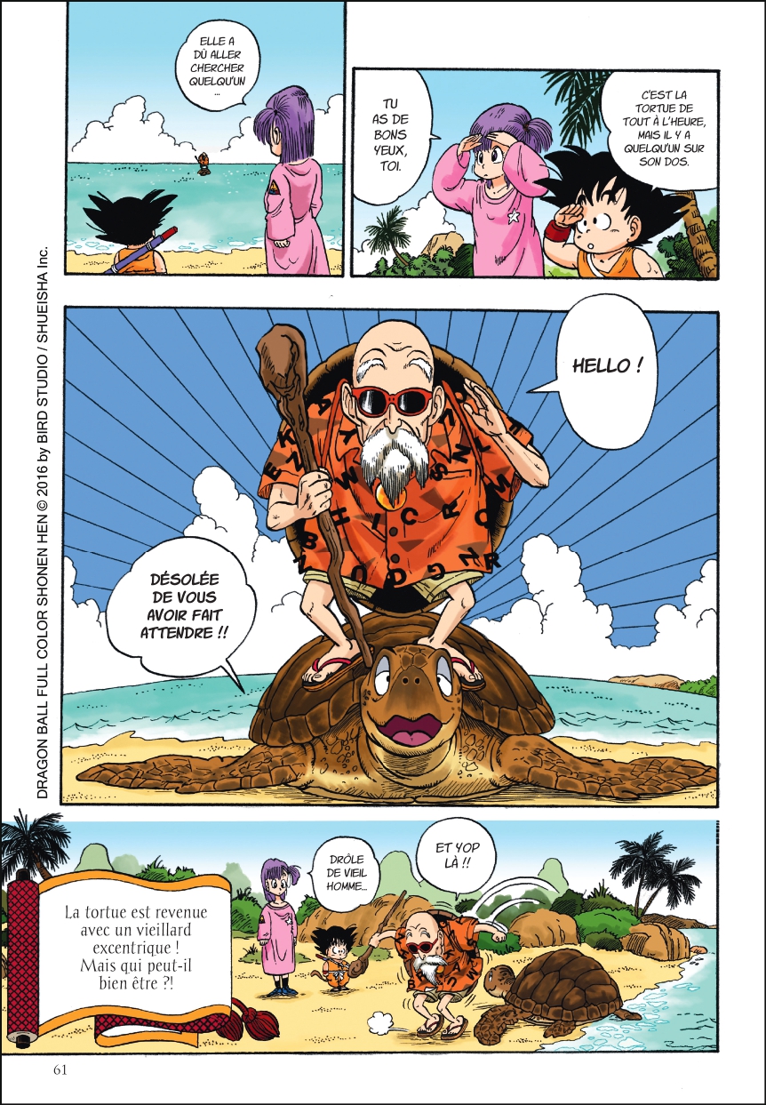 dragon-ball-full-color-enfance-goky-planche-tortue-geniale