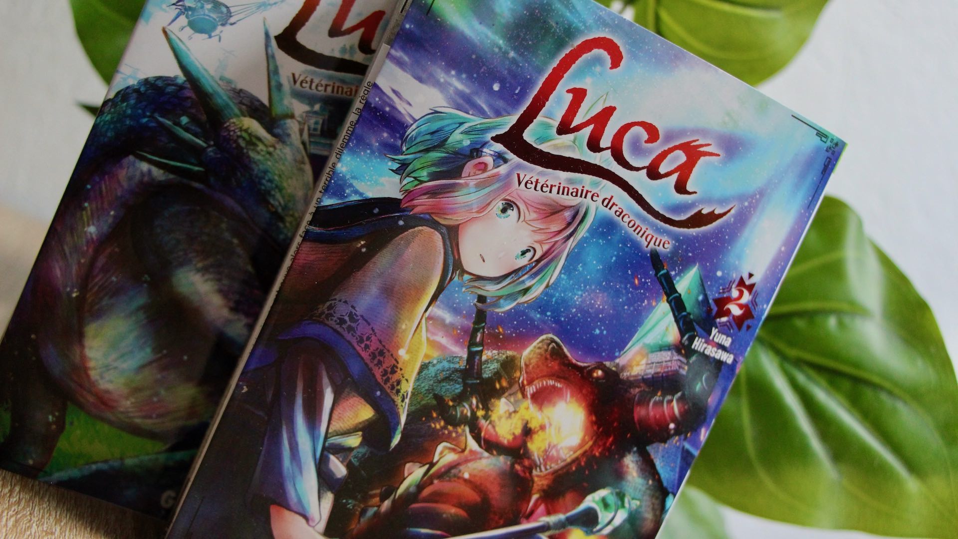 luca-veterinaire-draconique-tome-2