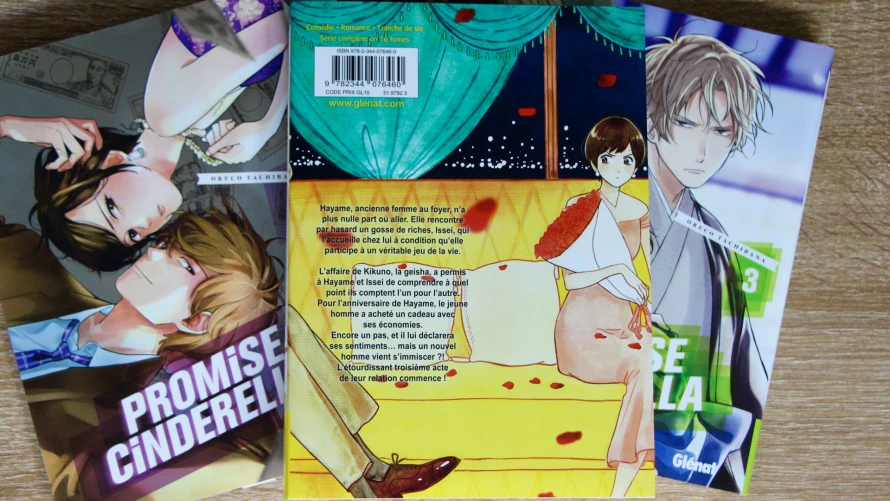 promise-cinderella-tome-9-quatrieme-couverture