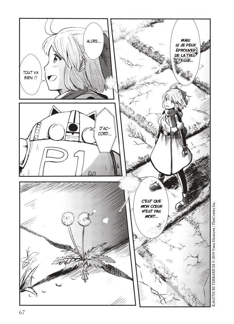 terrarium-planche-3