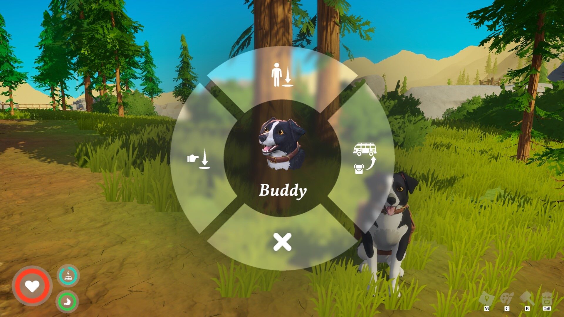 outbound-visuel-chien-buddy