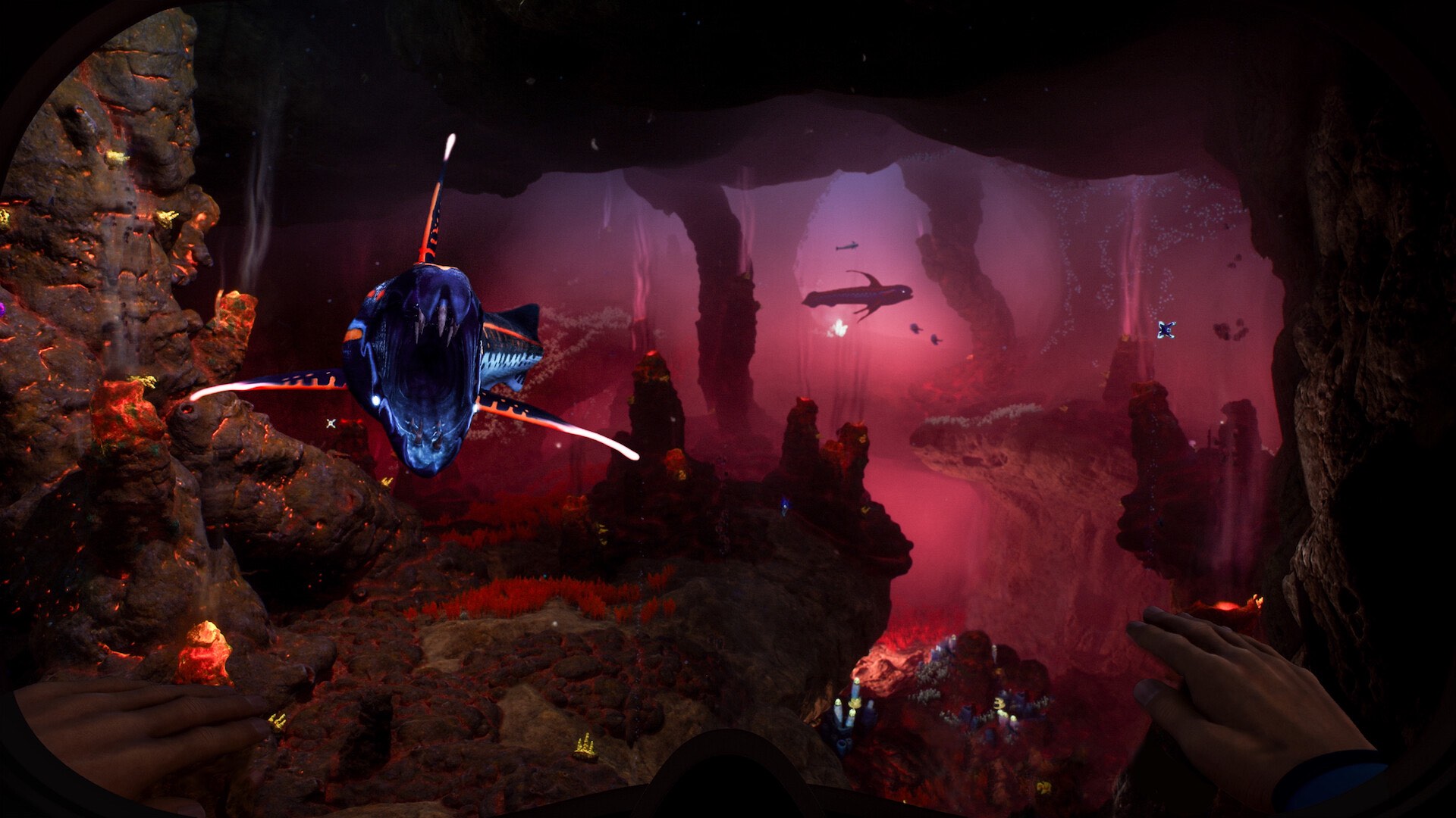 subnautica-2-visuel-creature