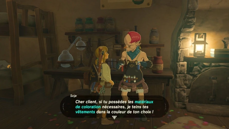 zelda-breath-of-the-wild-teinturier-soje