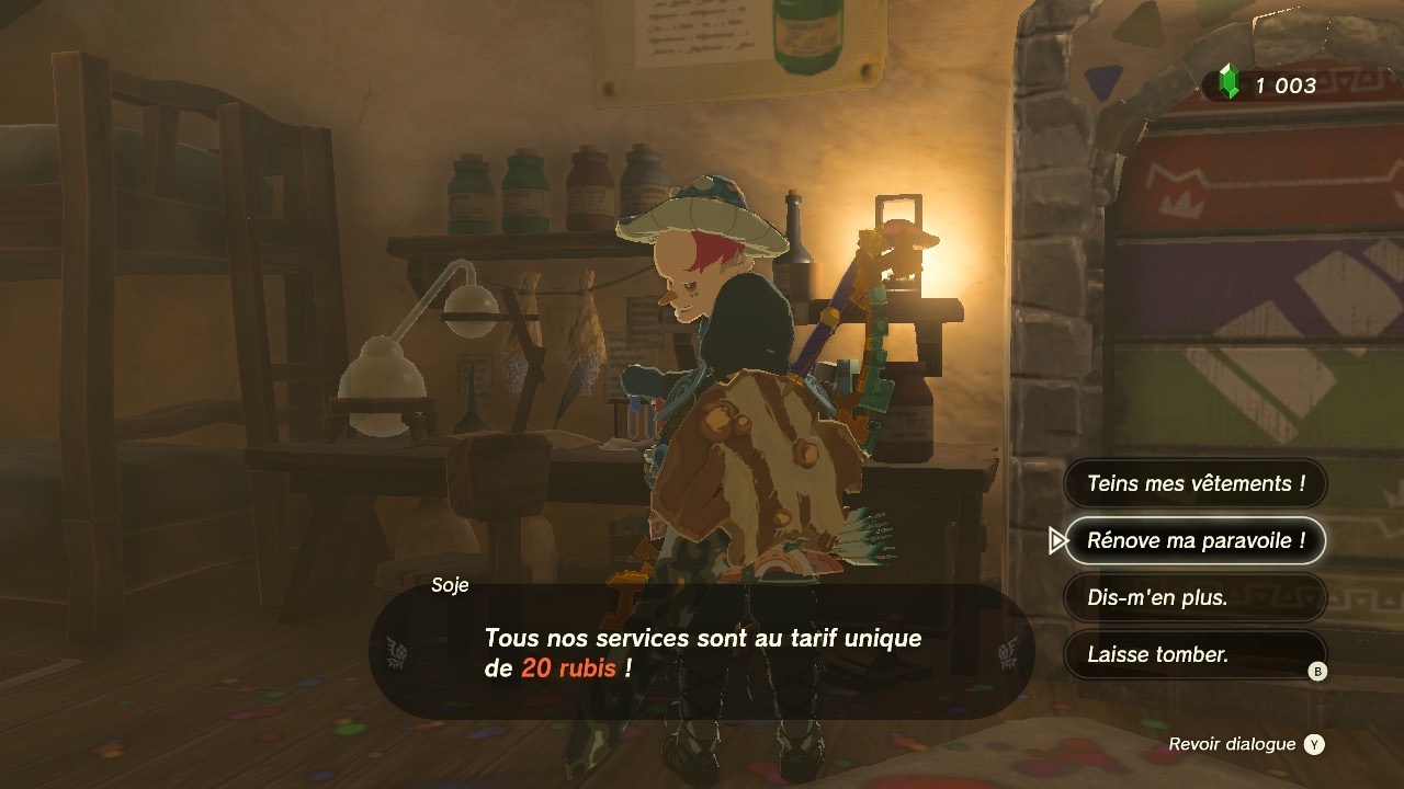 zelda-tears-of-the-kingdom-personnalisation-paravoile